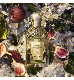 Aqua Allegoria Forte - Nerolia Vétiver - Eau de Parfum Aqua Allegoria Forte - Nerolia Vétiver - Eau de Parfum